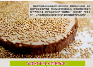 粮中“黄金宝” 仁果果360g藜麦，古称“粮食之母”，今养国宝｜科学解读